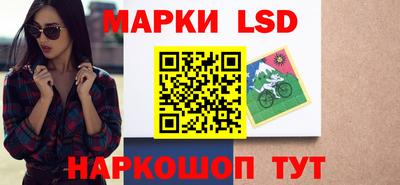 mdpv Ярославль