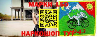 mdpv Ярославль