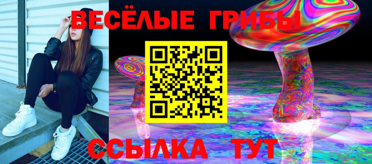 Вятские Поляны  Псилоцибиновые грибы ЛСД  Вход с VPN  Псилоцибиновые грибы прущие грибы 