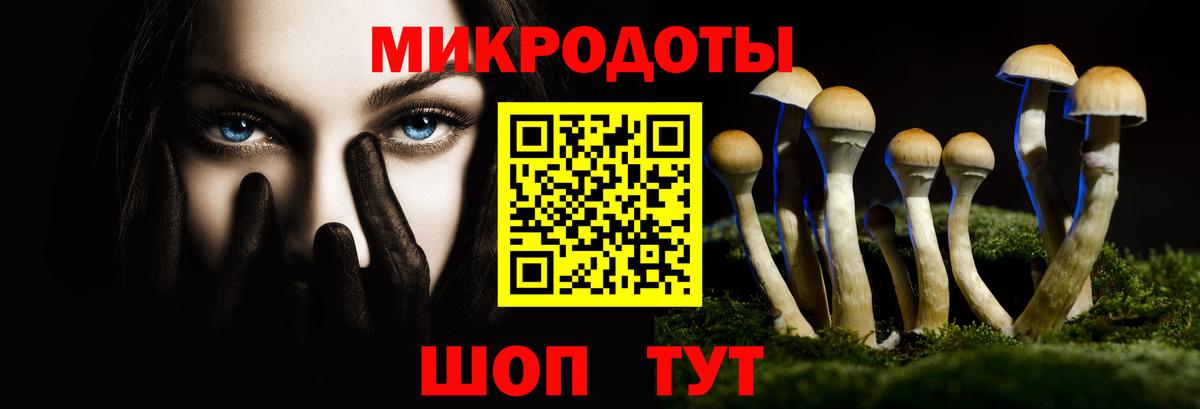 Галлюциногенные грибы Psilocybine cubensis Вятские Поляны
